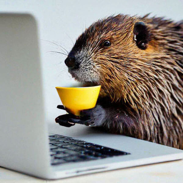 Изображение задачи